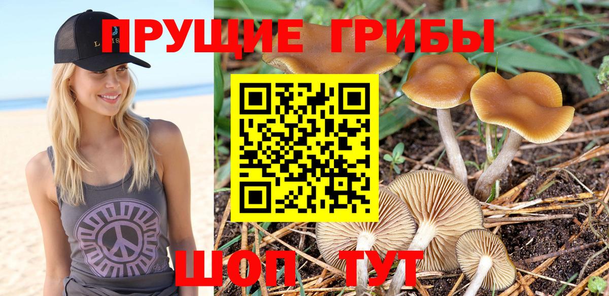 Псилоцибиновые грибы мухоморы Хасавюрт